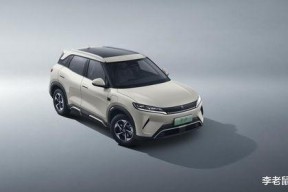 国产A级毛,匠心独运，引领时尚潮流