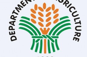 国产区资源,探索本土影视、音乐、游戏魅力之旅